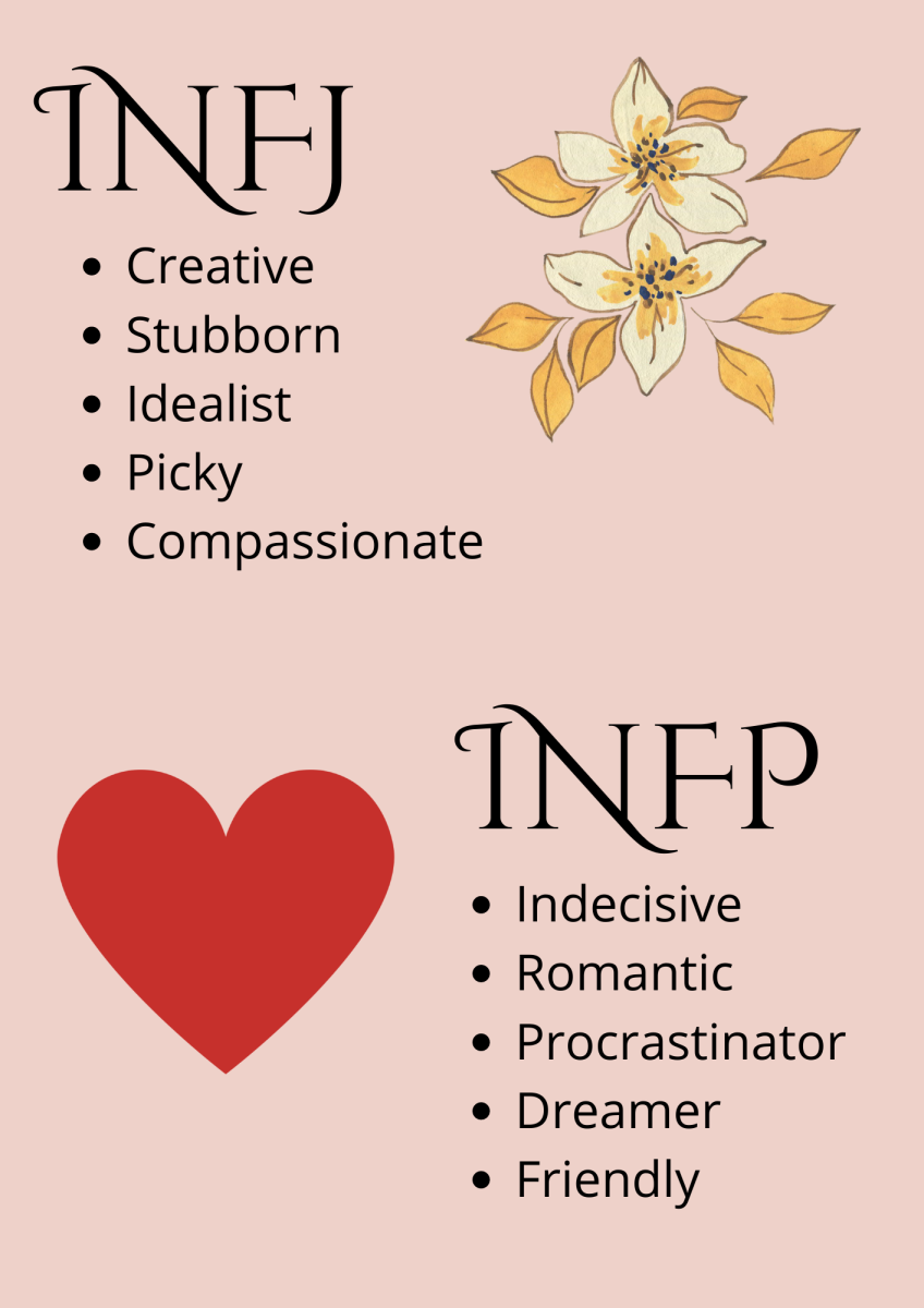 infj-and-infp-a-couple-who-loves-to-dream