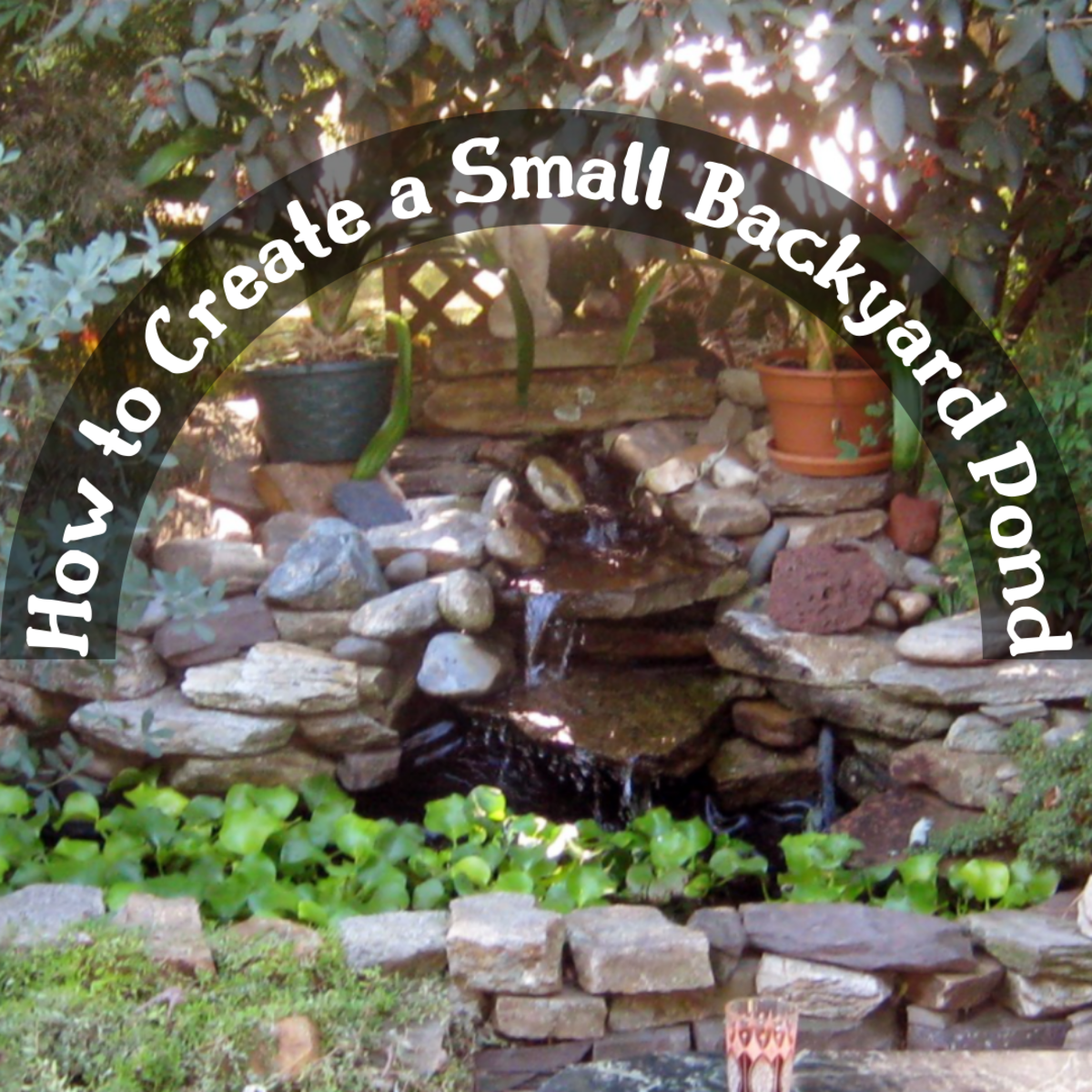 Learn how to build and maintain a small backyard pond. It took several years for the plants around the pond in this photo to mature.