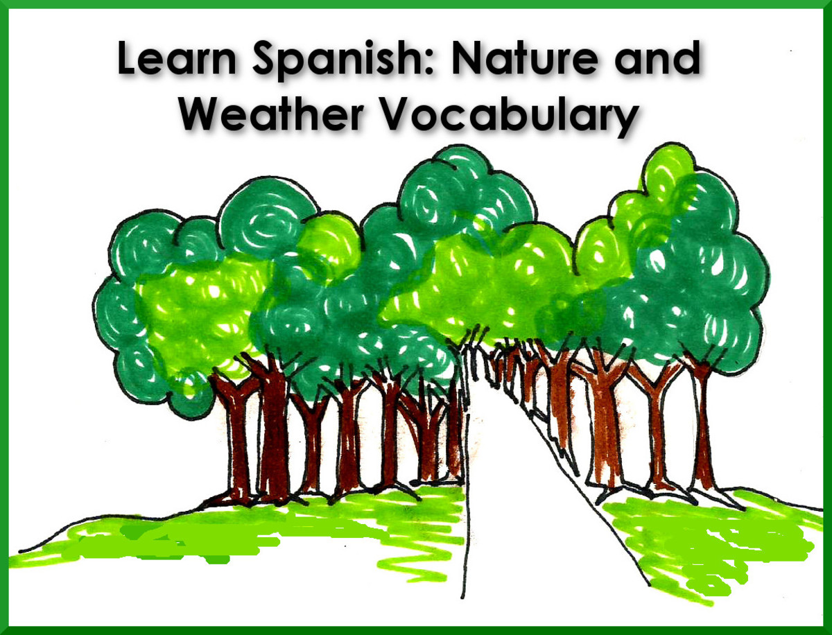 Learn Spanish: Nature and Winter Vocabulary. Image hand-drawn by me.