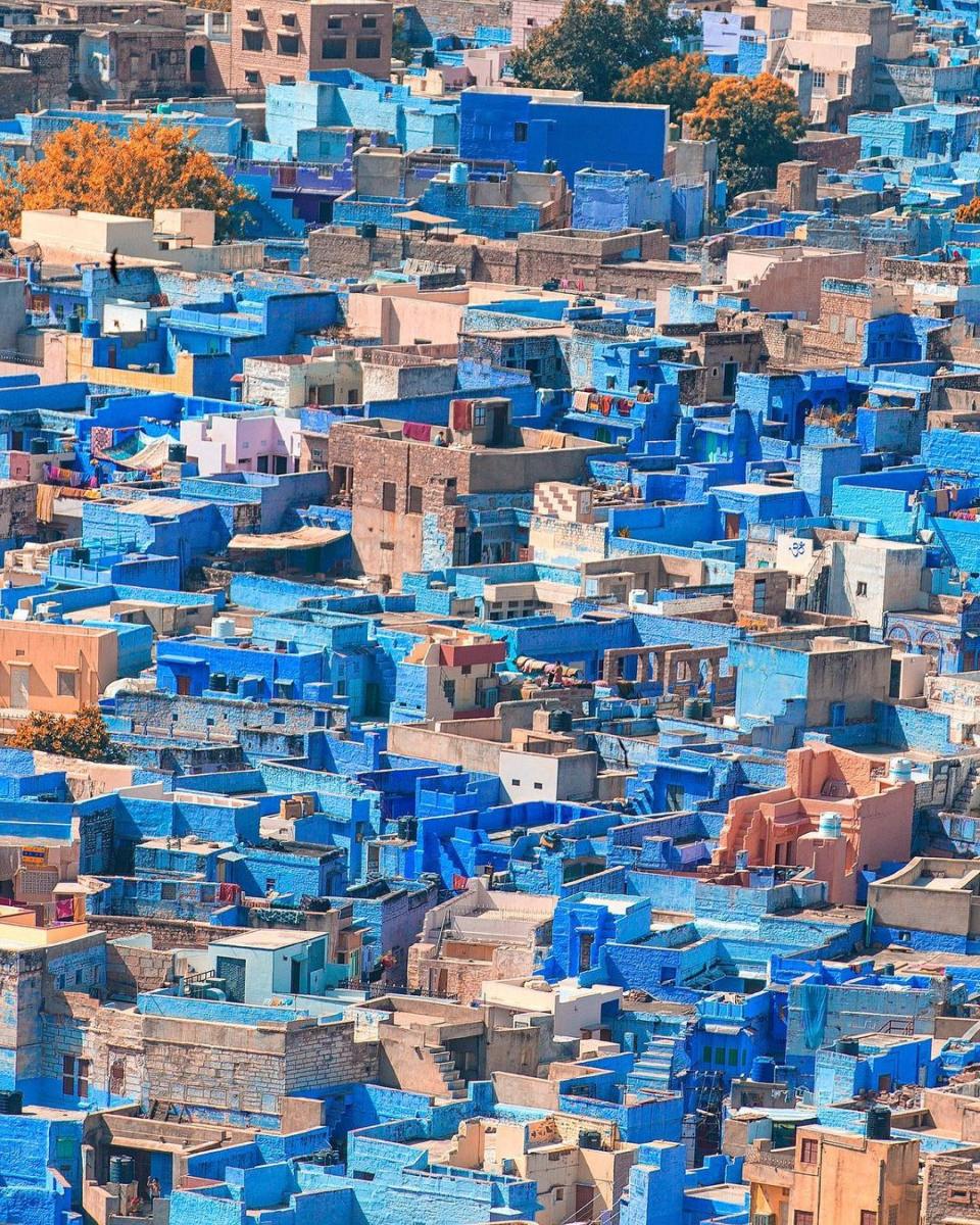 Jodhpur- Blue/Sun city