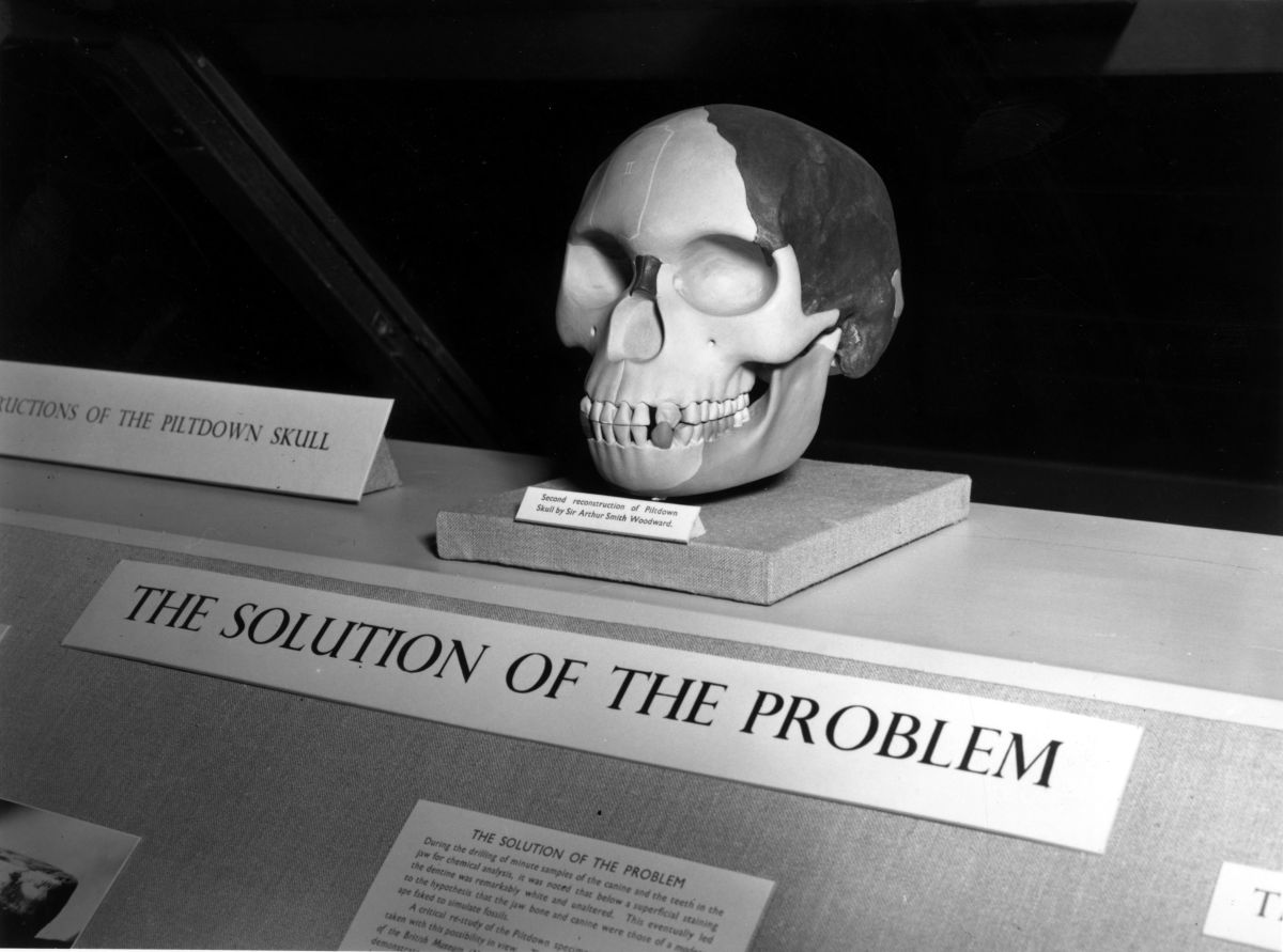 The Piltdown Man was a fake. And it was one of the best fakes ever created in the history of science.