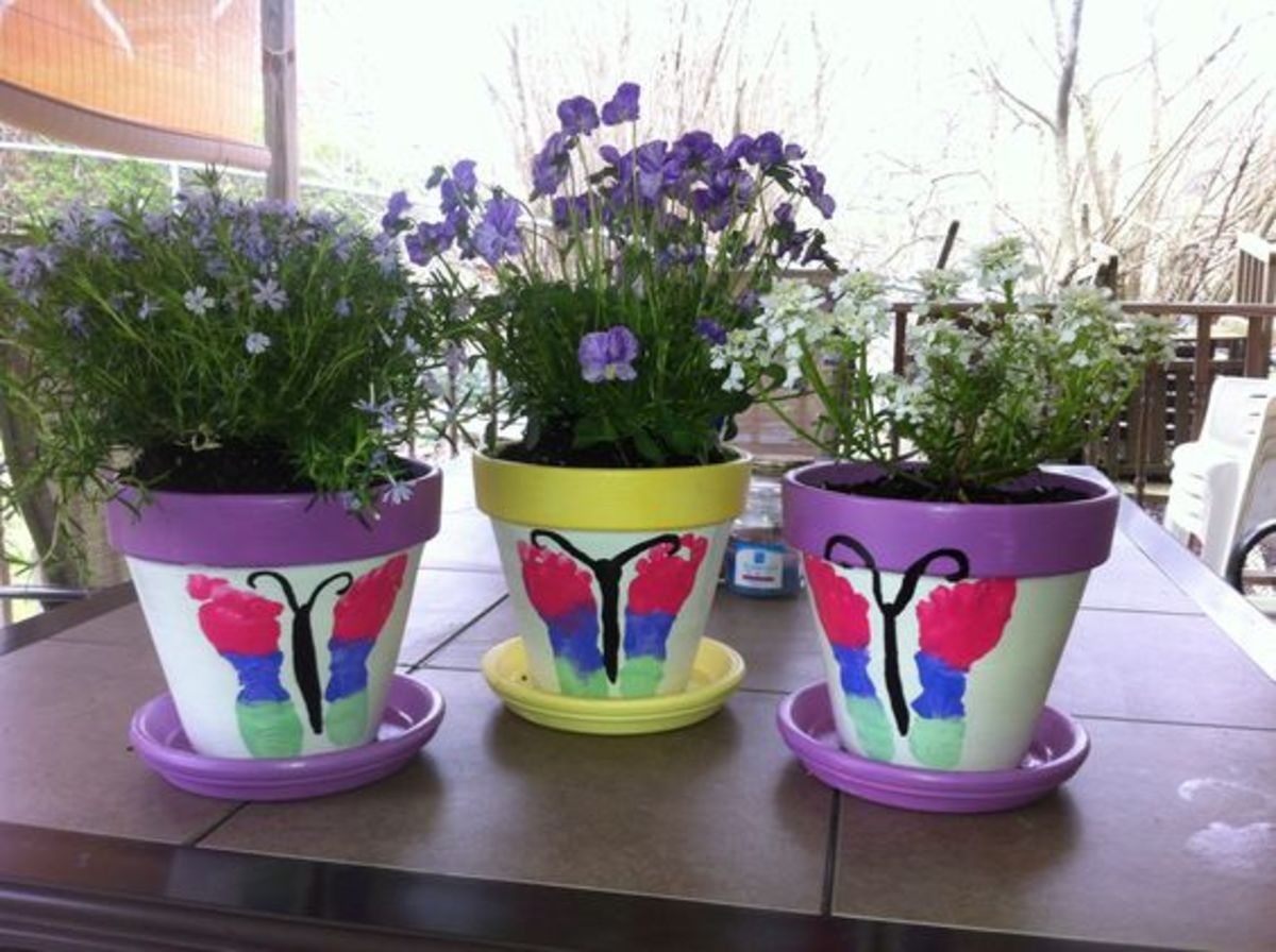 Tri-Color Footprint Butterfly Pots