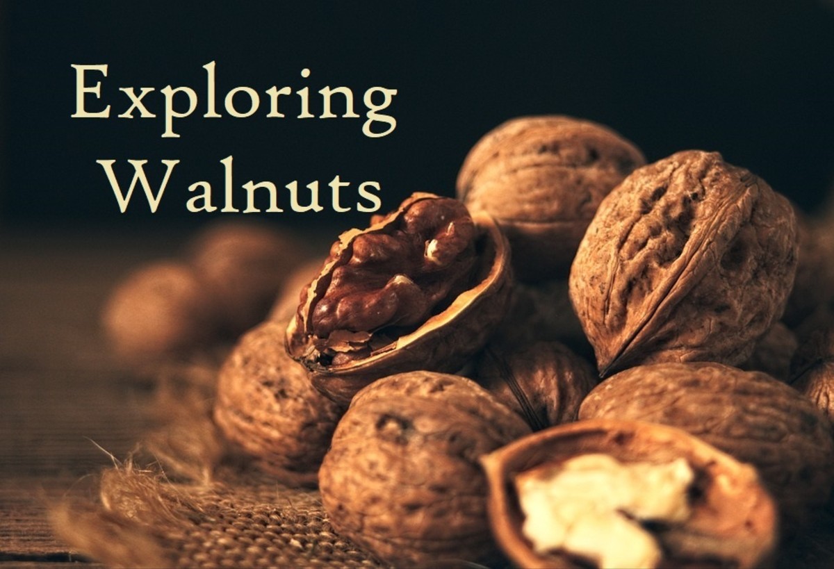 Walnuts are versatile, delicious, and nutritious, and  they can be used in countless sweet and savory recipes