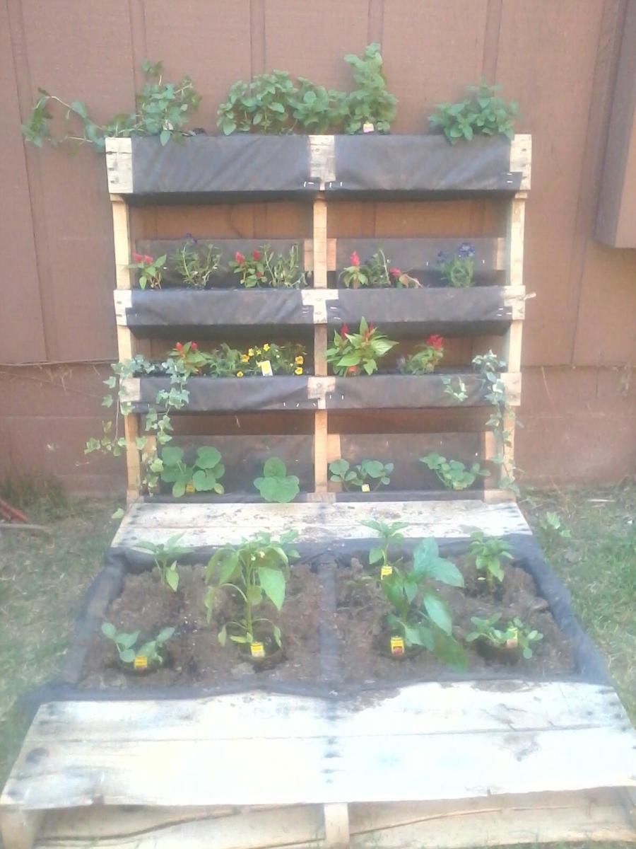 pallet-gardening-for-small-spaces