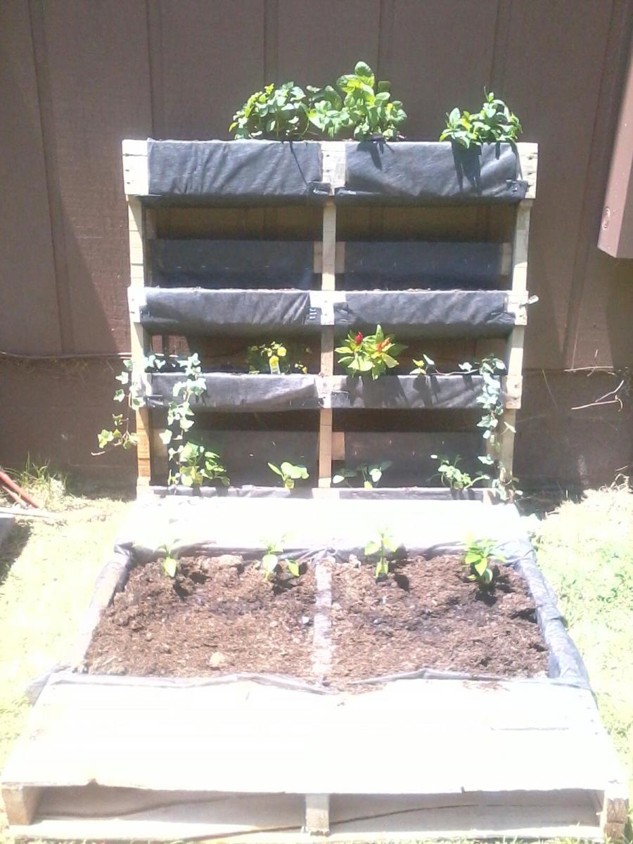 pallet-gardening-for-small-spaces