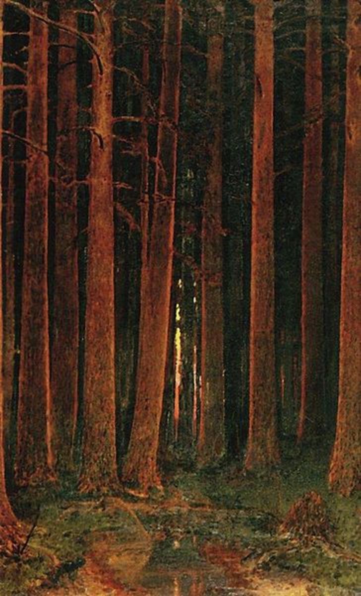 Sunset in a forest by Arkhip Kuindzhi