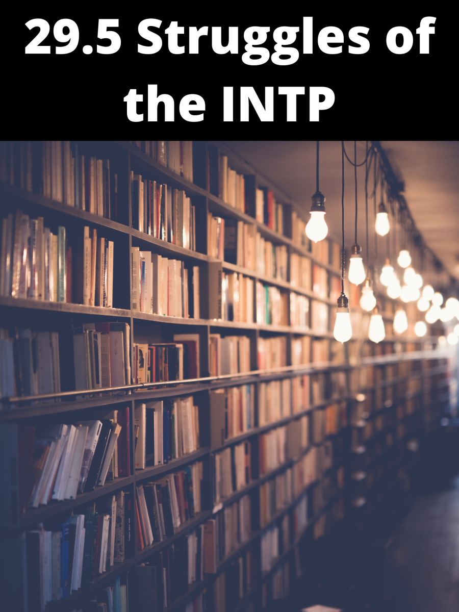 Here are almost 30 facts you may not have known about INTPs.