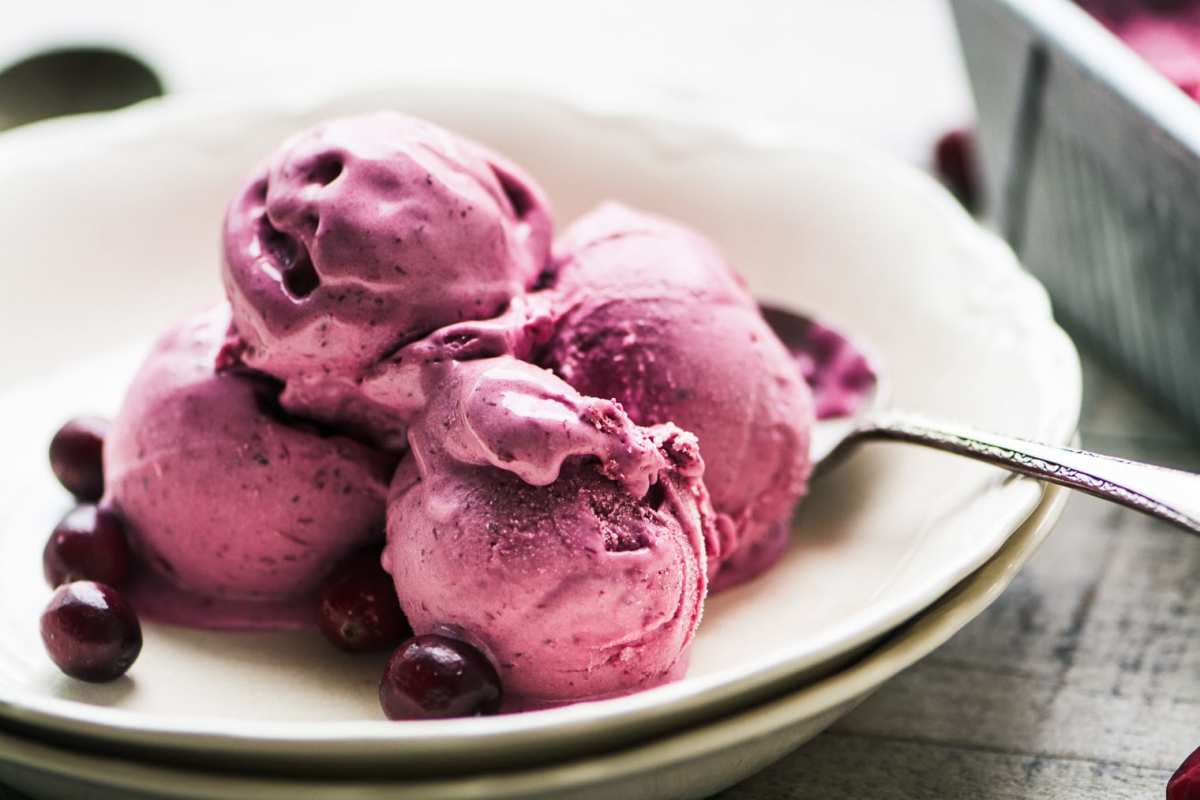 Top Vegan And Non Vegan Cranberry Ice Cream Recipes - HubPages