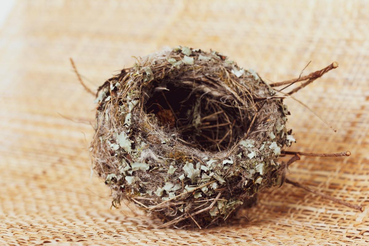 "Nesting," in reference to pregnancy means preparing your home, or "nest," for baby.