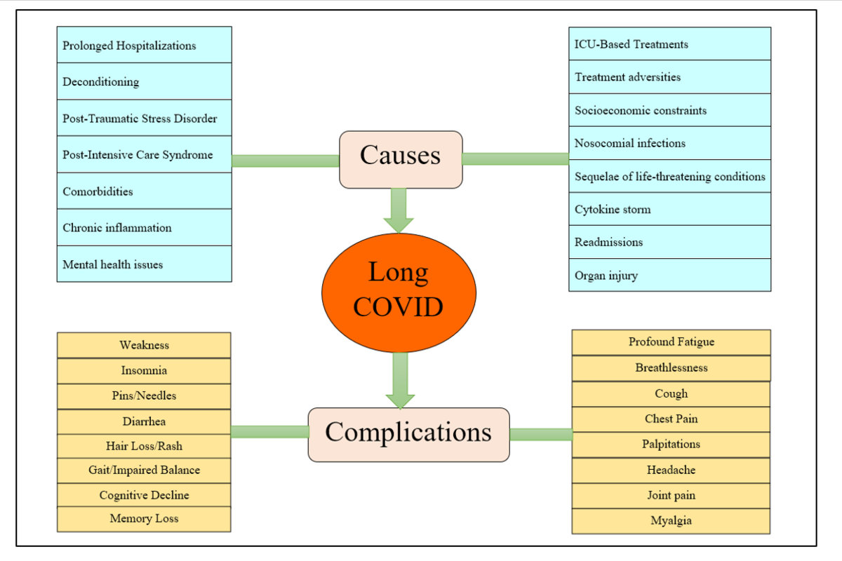 Systems Biology Approach to Long COVID Treatment