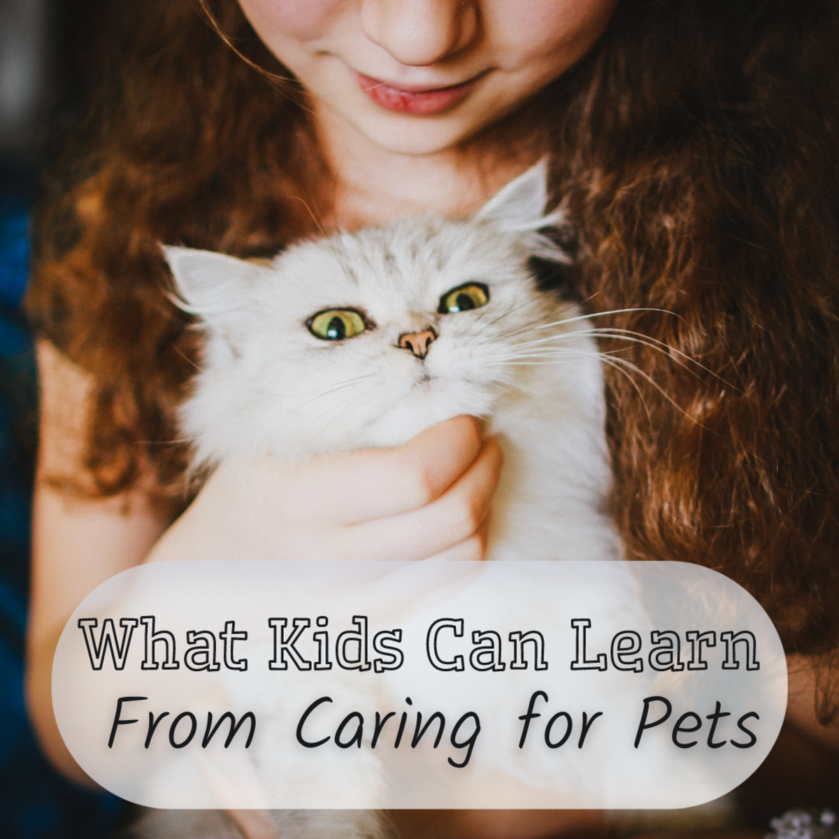 What can children learn from looking after pets?