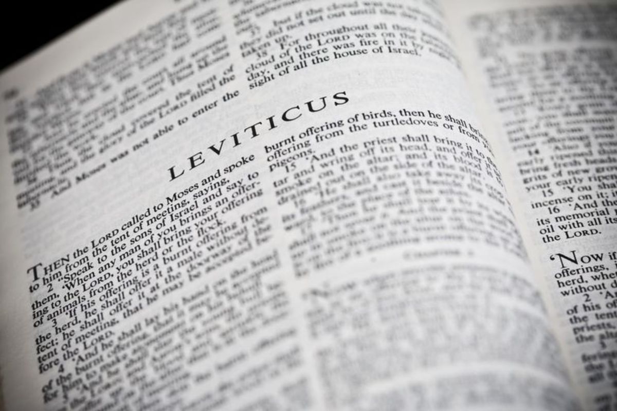 leviticus-summary-of-the-book-of-laws
