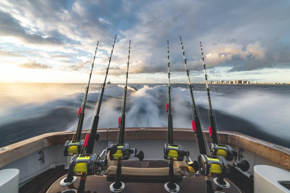 How to Start Fishing: The Top Tips and Advice to Get You Hooked
