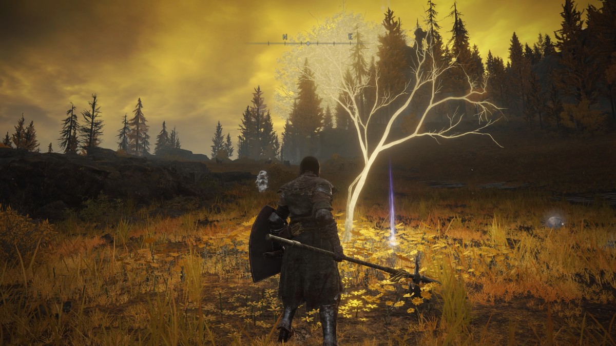 Guide to Choosing a Starting Keepsake in "Elden Ring" LevelSkip