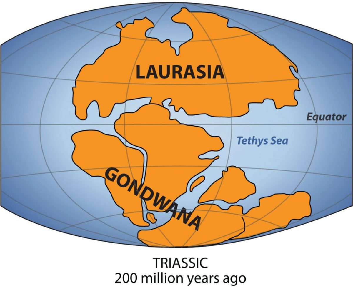 The Eighth Continent Discovered: Zealandia