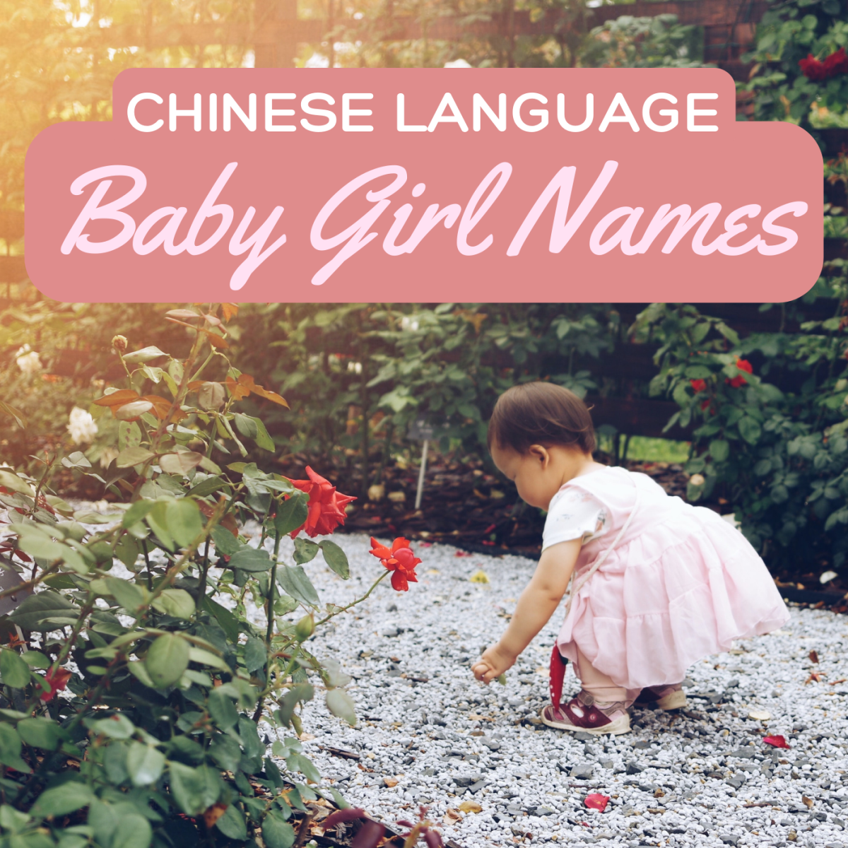 Chinese Language Baby Girl Names