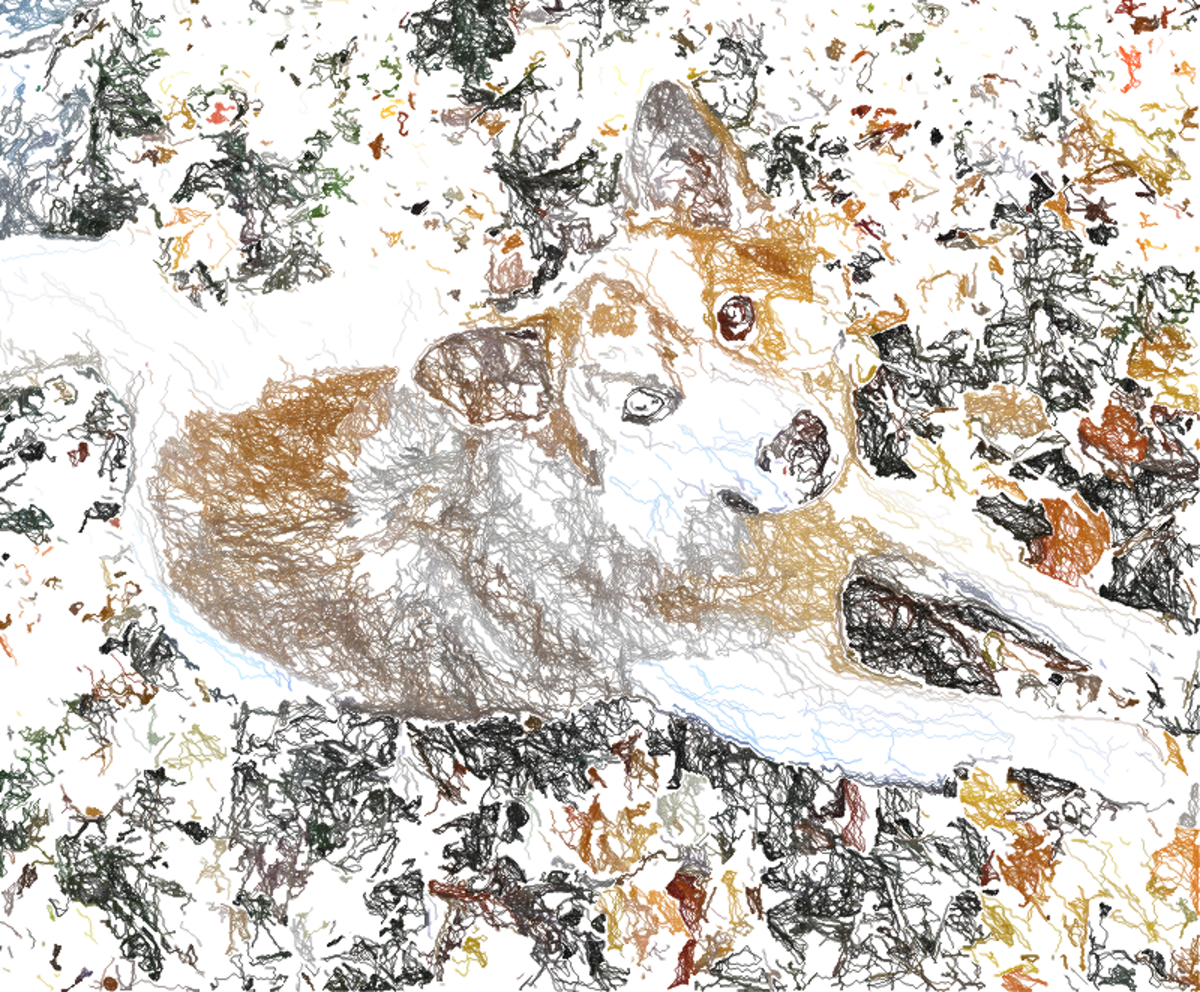 My first colored line drawing made from a photo of my dog