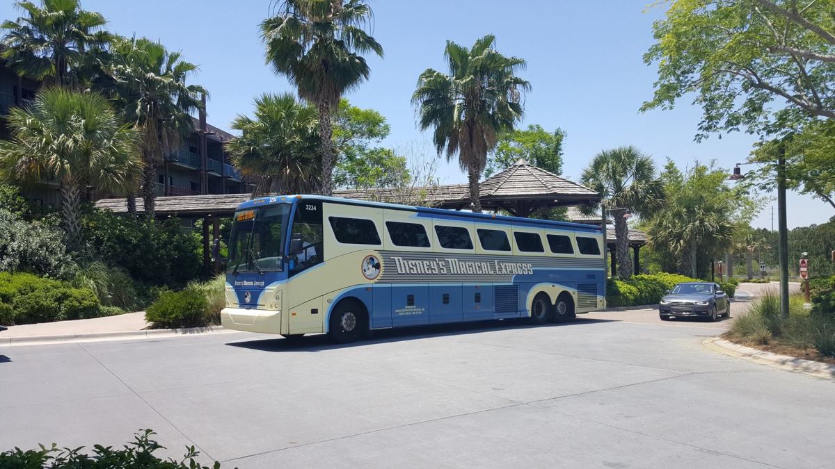 One of the many buses at Disney. Though, the Magical Express is no more. 
