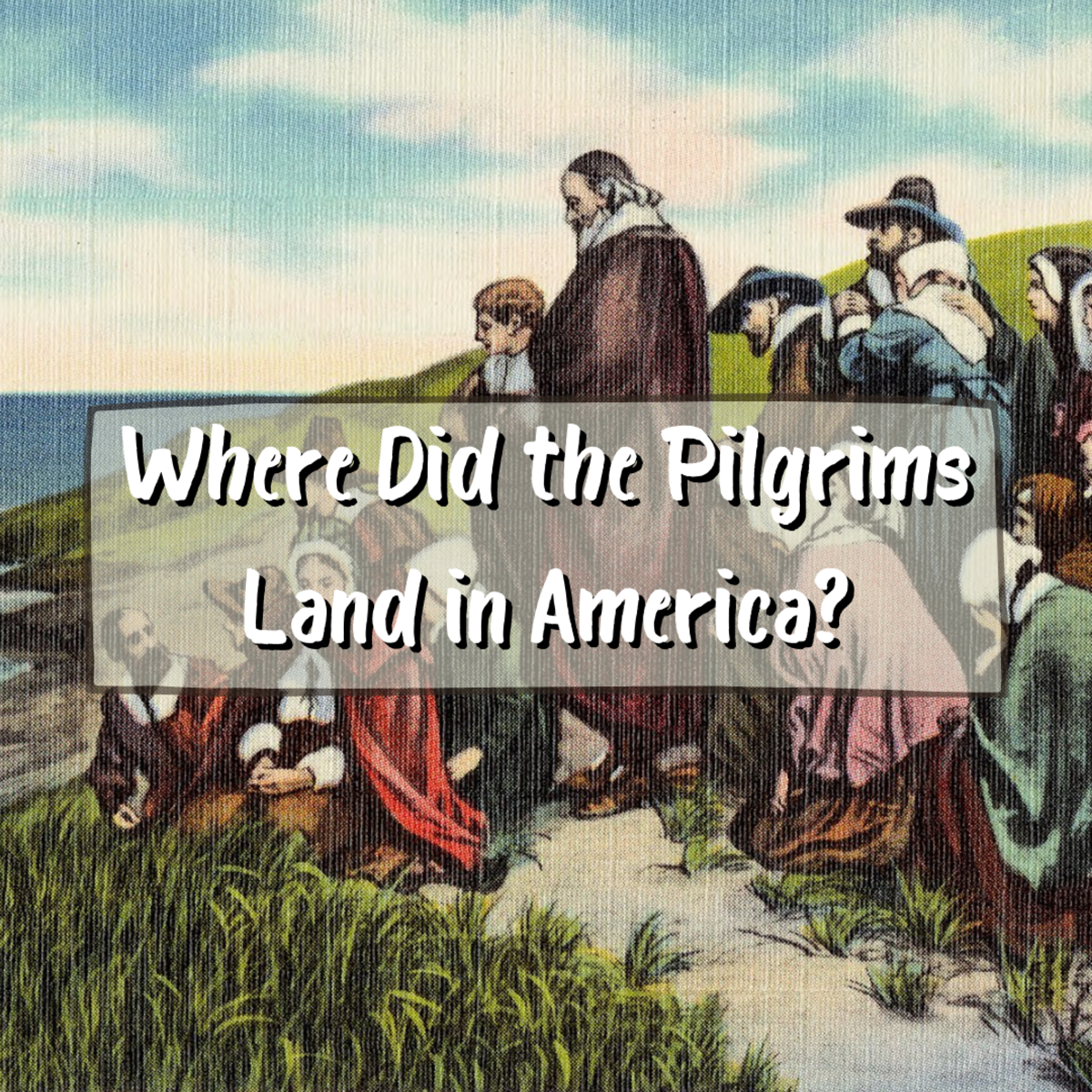 Where Did the Pilgrims Land in America?