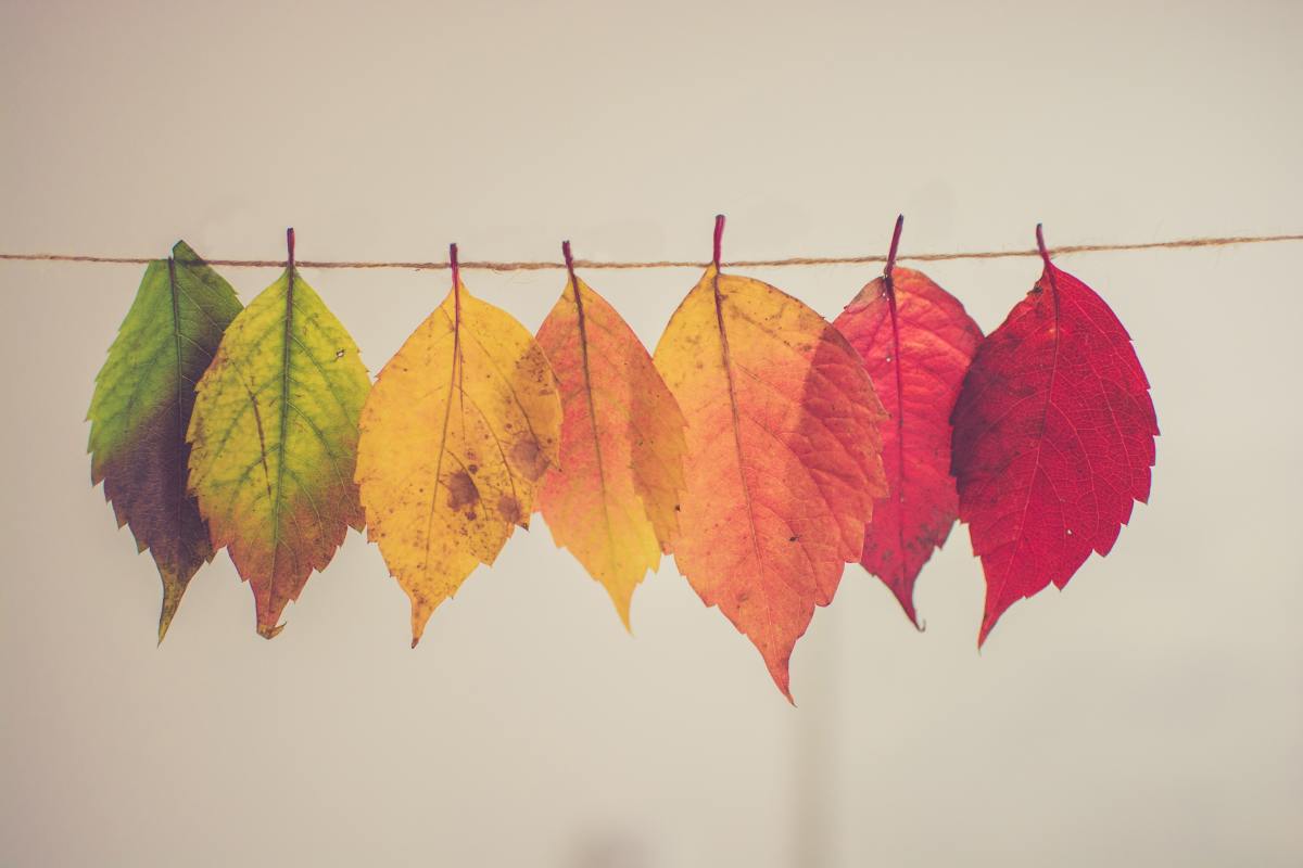 Teaching Calendar Skills to SpecialNeeds Kids WeHaveKids