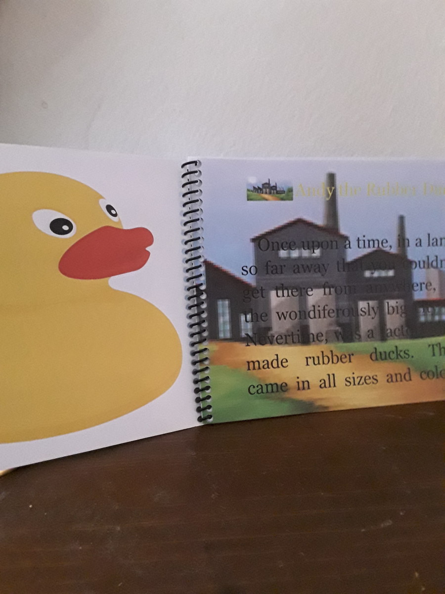 rubber-ducks-journey-in-charming-picture-book-and-story-has-a-message-for-all-of-us-in-our-lifes-journey