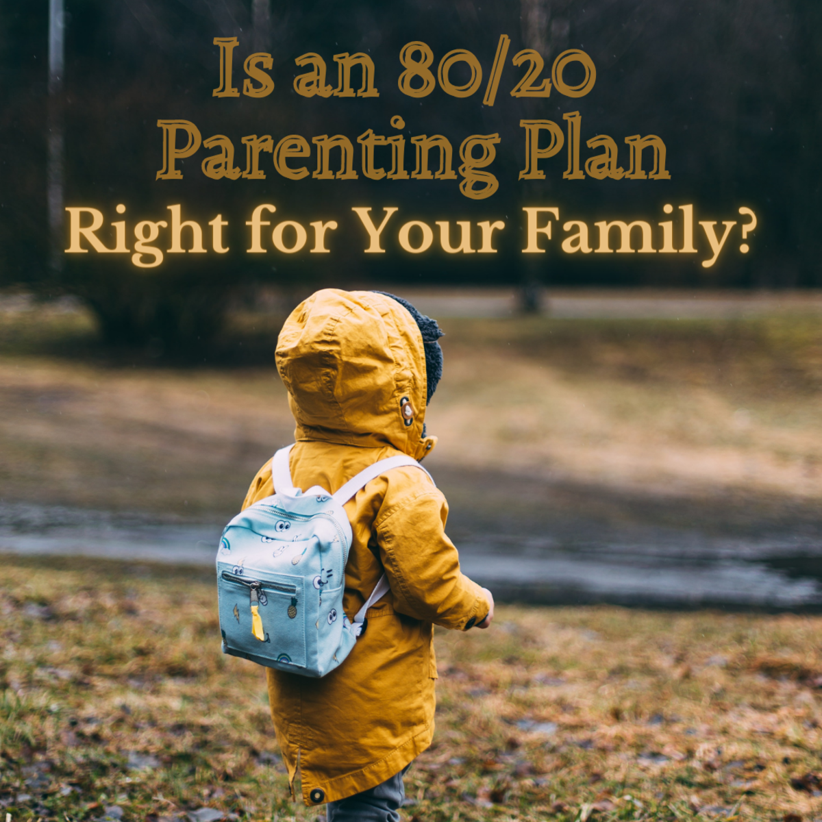 What is an 80/20 custody schedule, and is it right for your family?