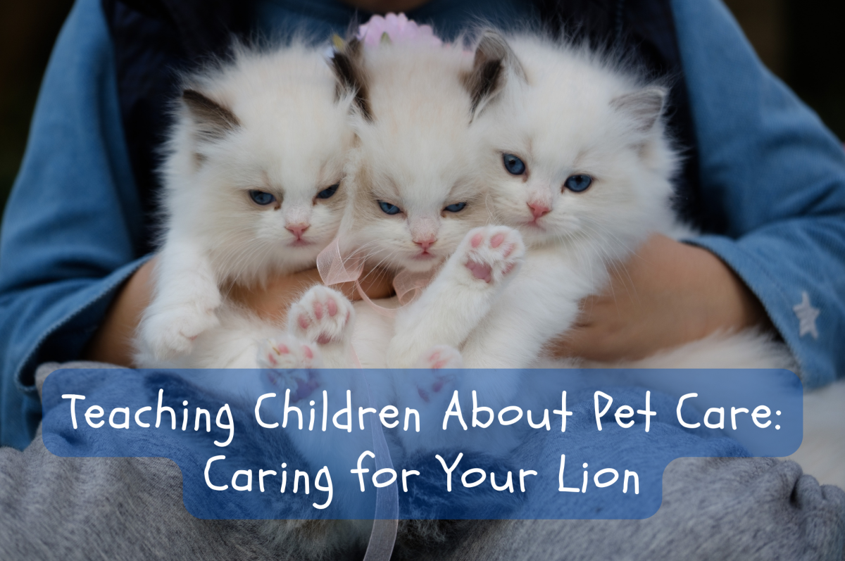 Are your children asking for pets? Help them understand the care and responsibility it takes by reading them "Caring for Your Lion."