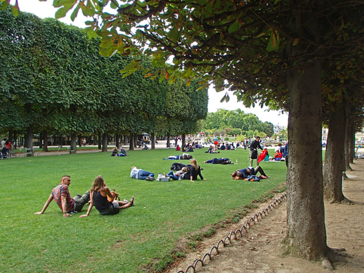 Grassy area for picnic and sunbathing