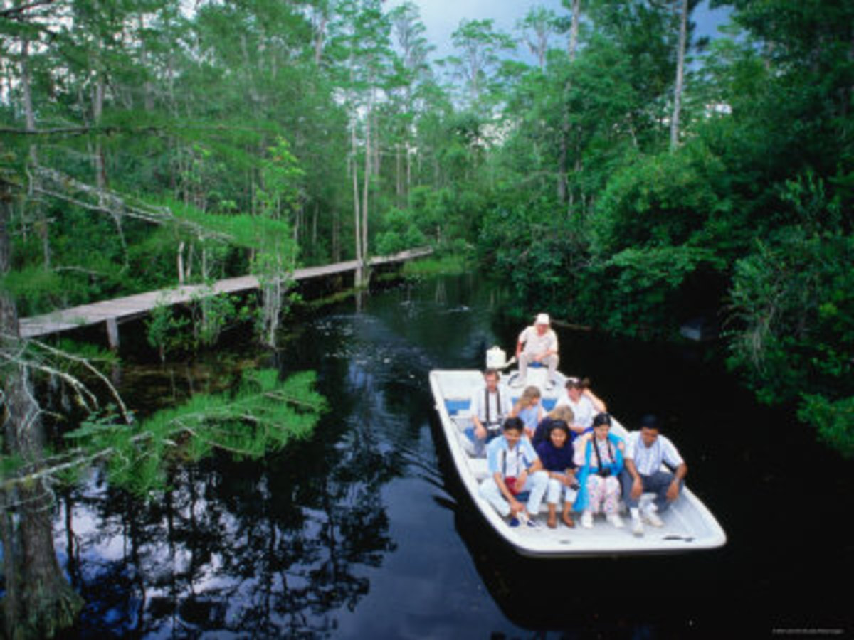 Take a boat tour with a knowledgeable guide.