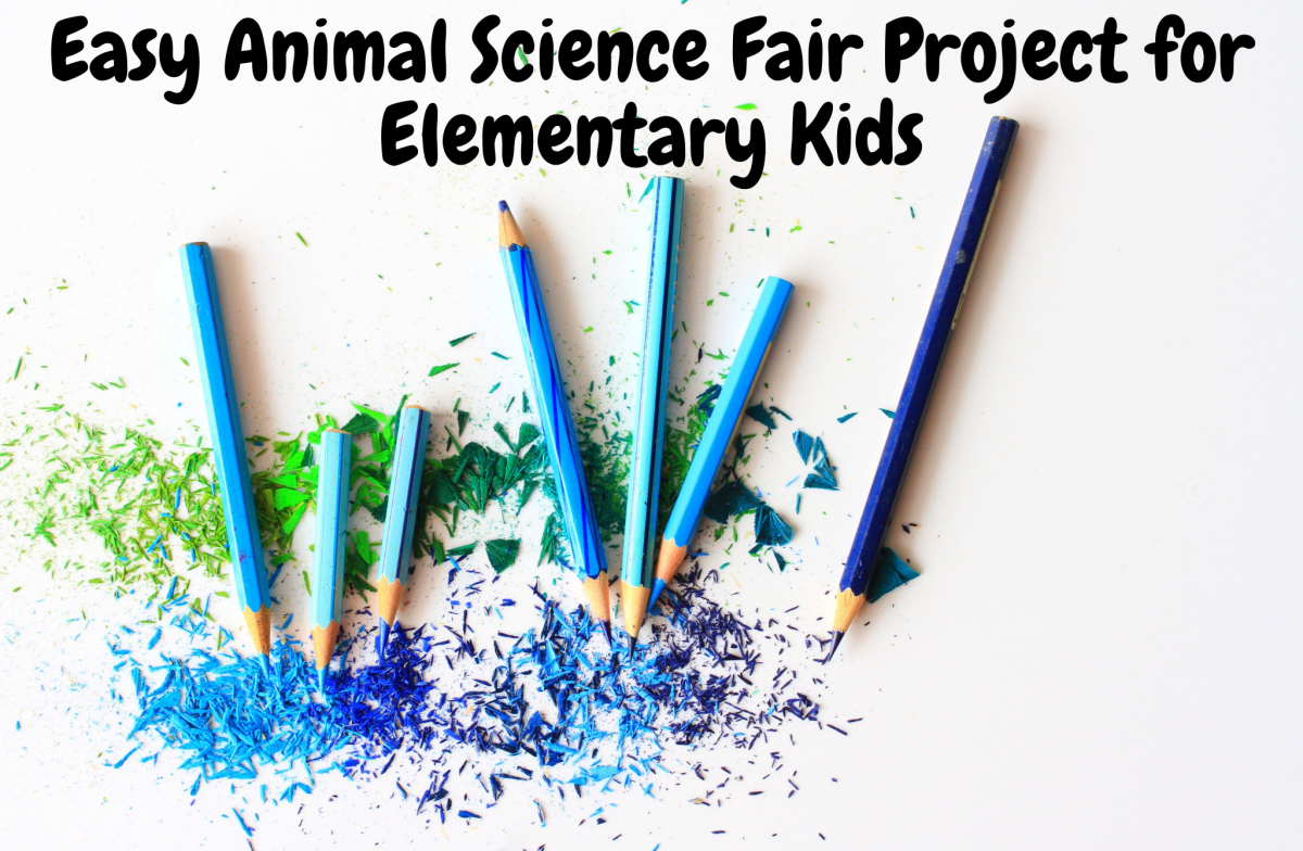 Here is a fun science fair project for animal-loving children. 