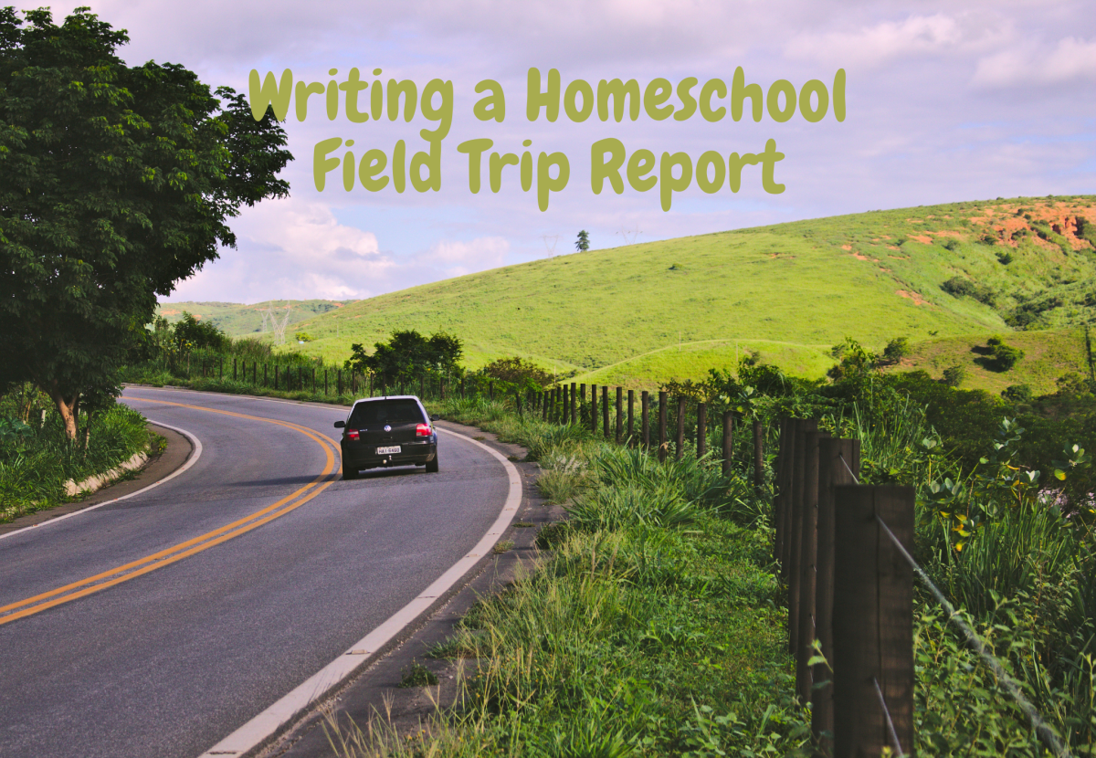 Ever taken your homeschooled child on a field trip? Here are some ways to make writing the report for them easier. 