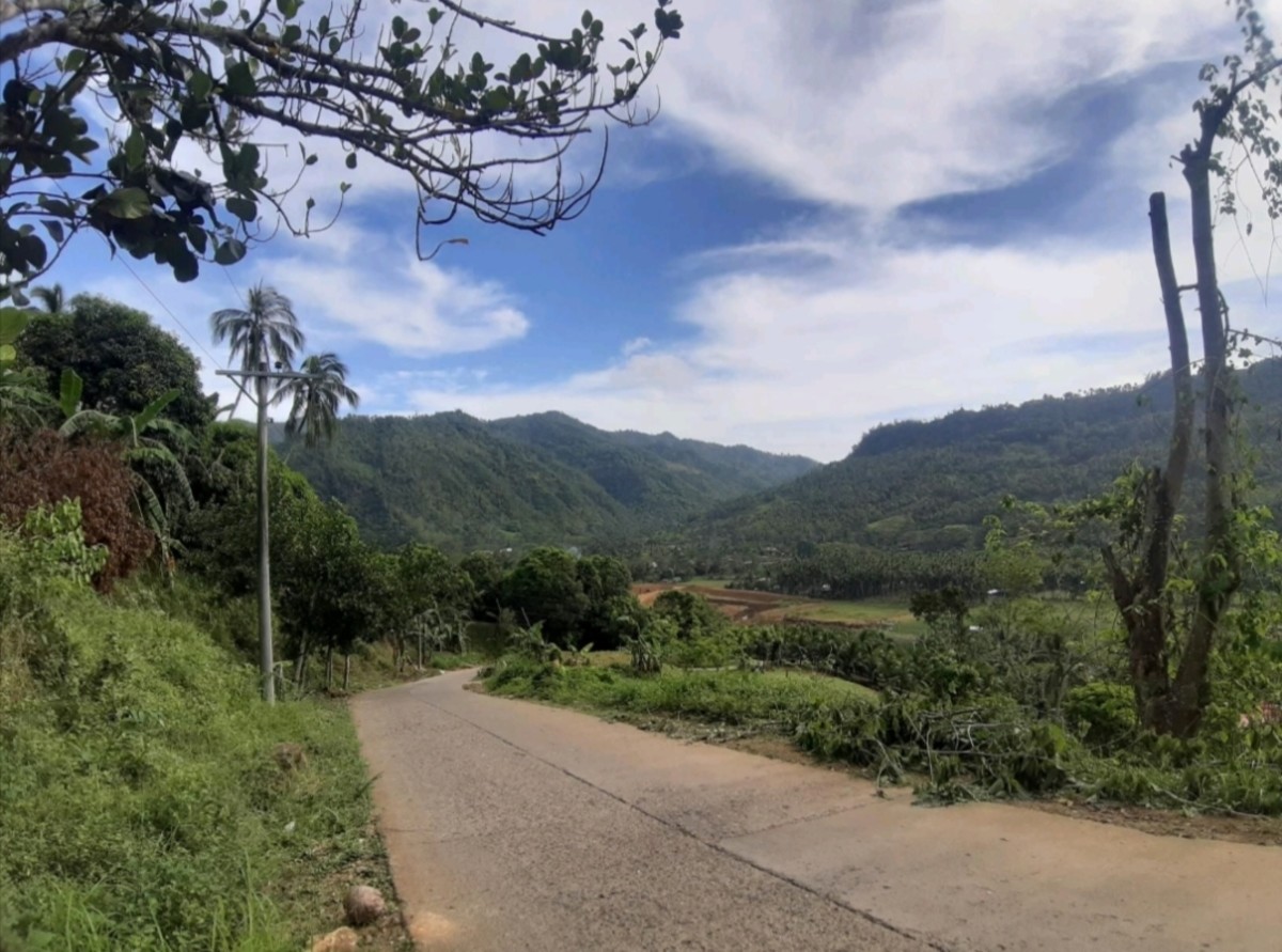 A view of Barangay Lusaran from Awayan Climb.