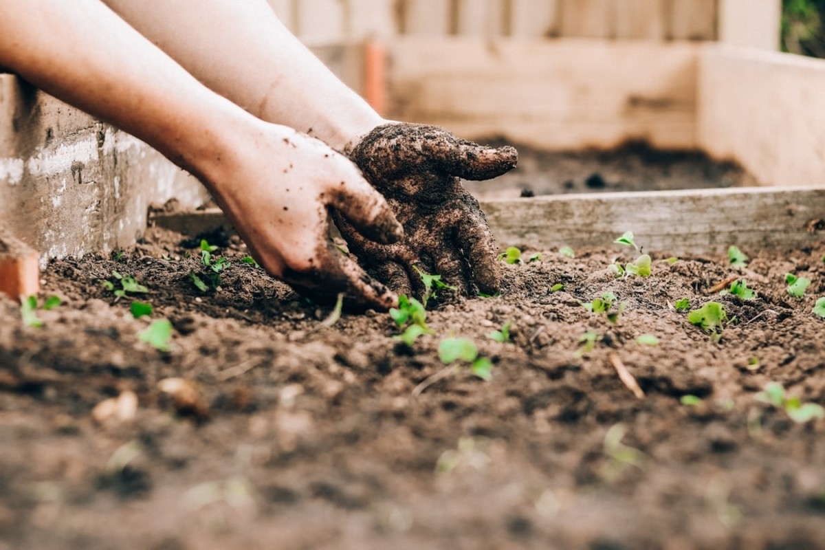 10-great-gardening-hacks-to-save-time-money