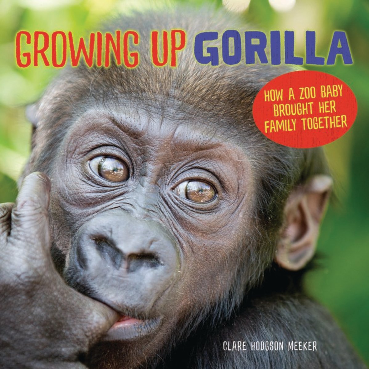 Growing up Gorilla: How a Zoo Baby Brought Her Family Together by Clare Hodgson Meeker