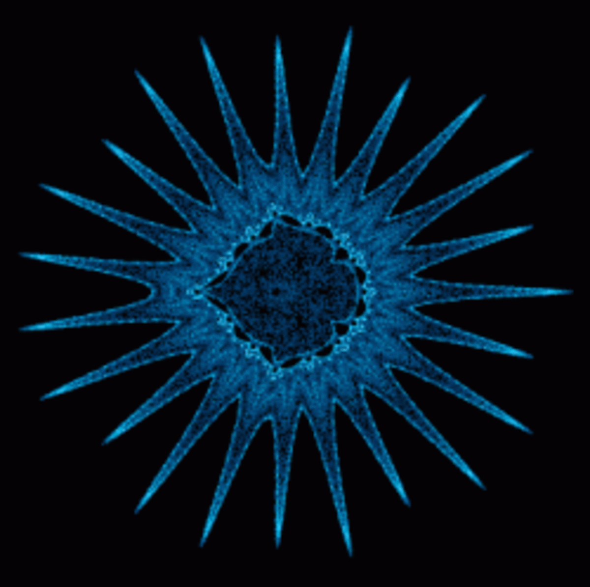 The Wonderful World of Diatoms