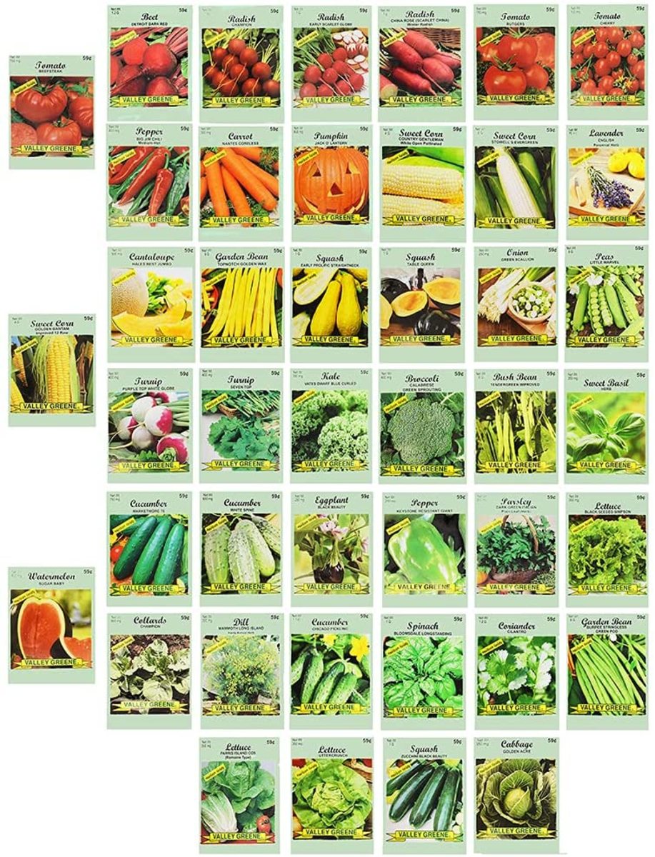 Vegetable seed assortment from Amazon