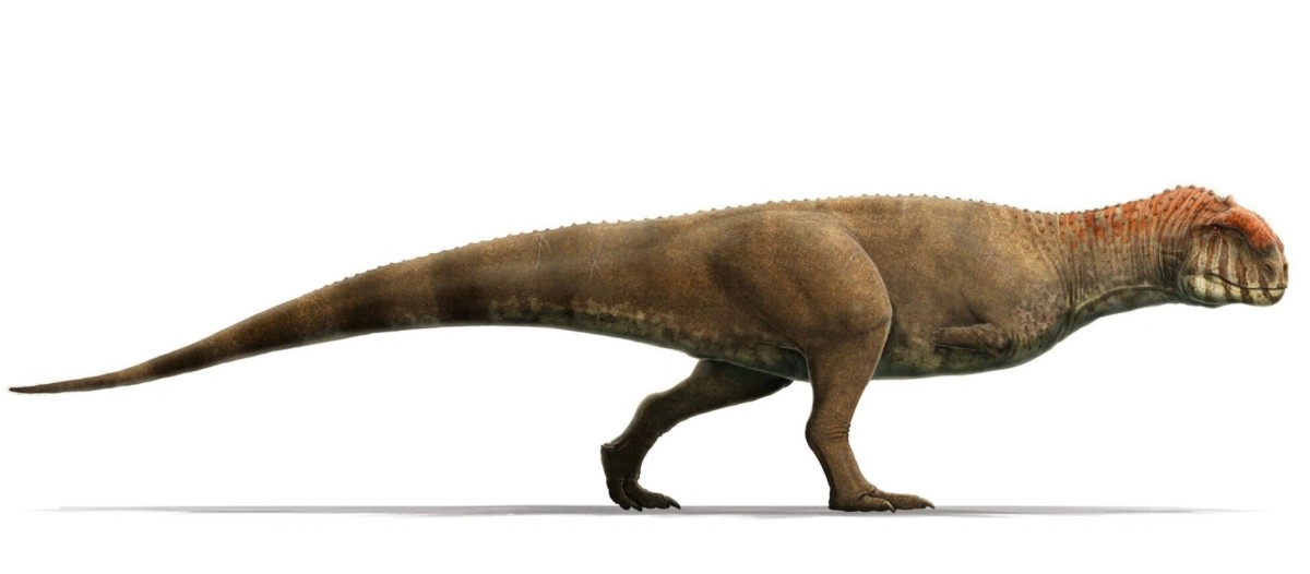 Majungasaurus.