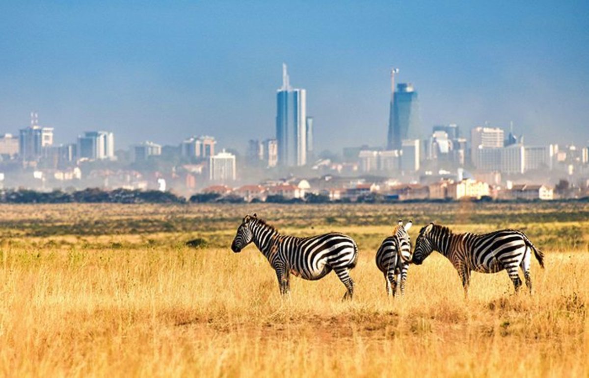 Nairobi City view from National Park 