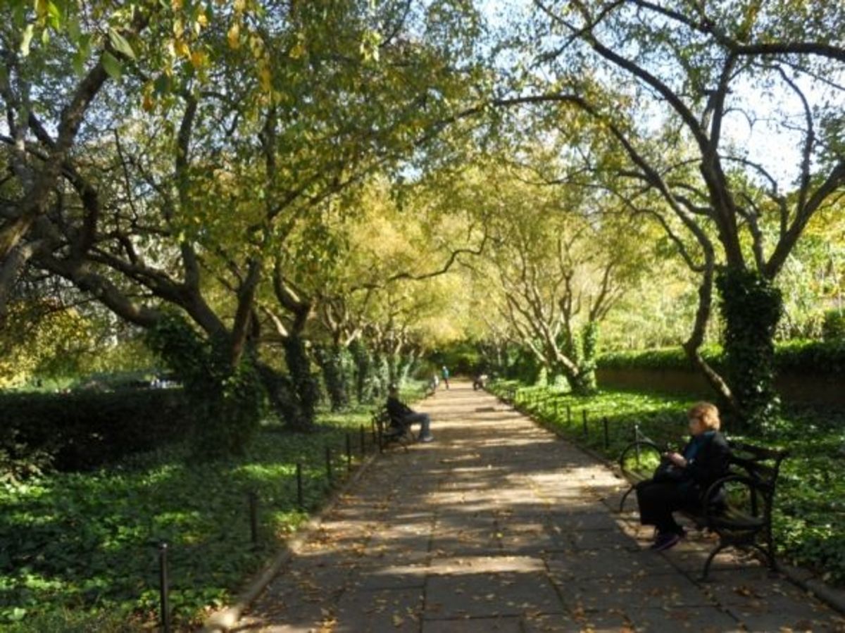 Crabapple-Trees-Central-Park