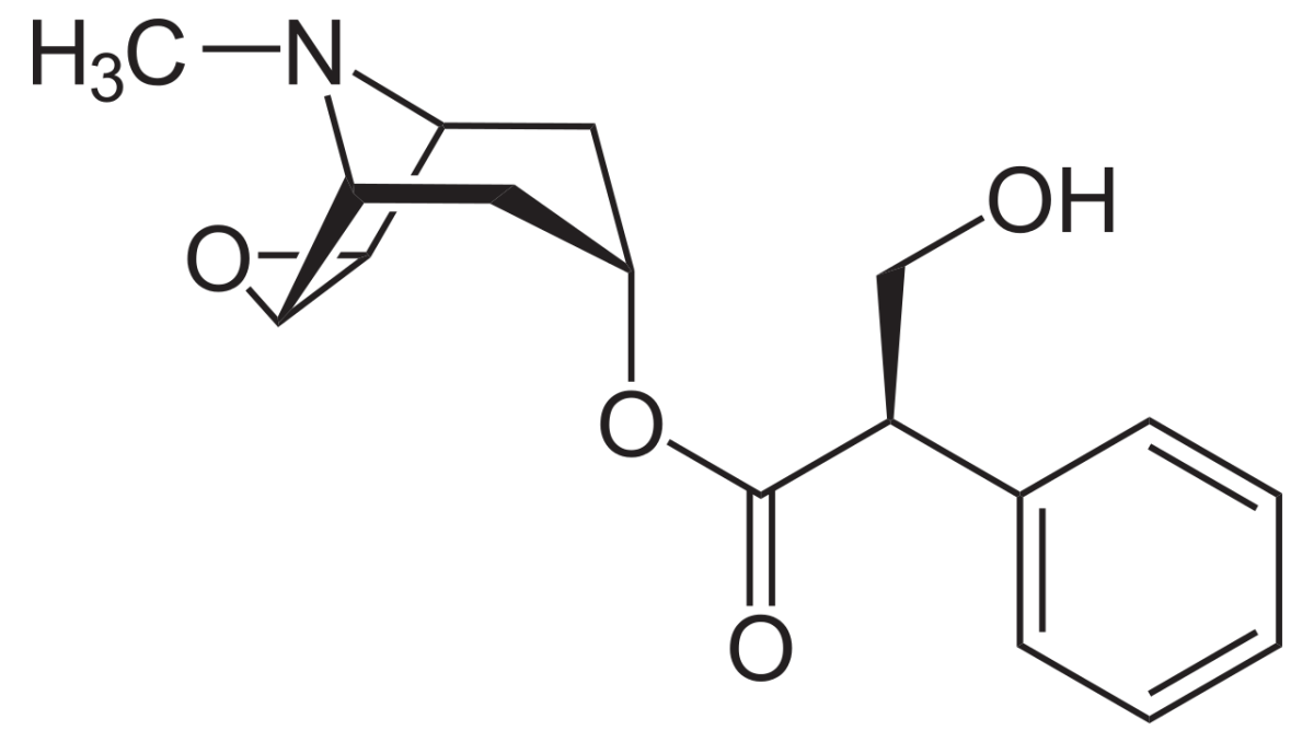 NEUROtiker. (2007). Public Domain.  Structure of Scopolamine [online photograph].