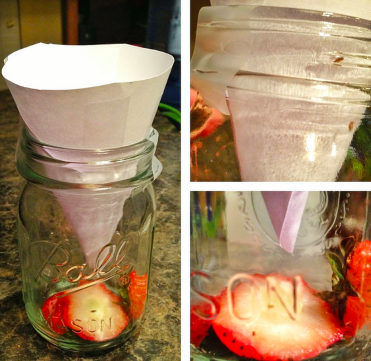 A fruit fly trap that you can make yourself