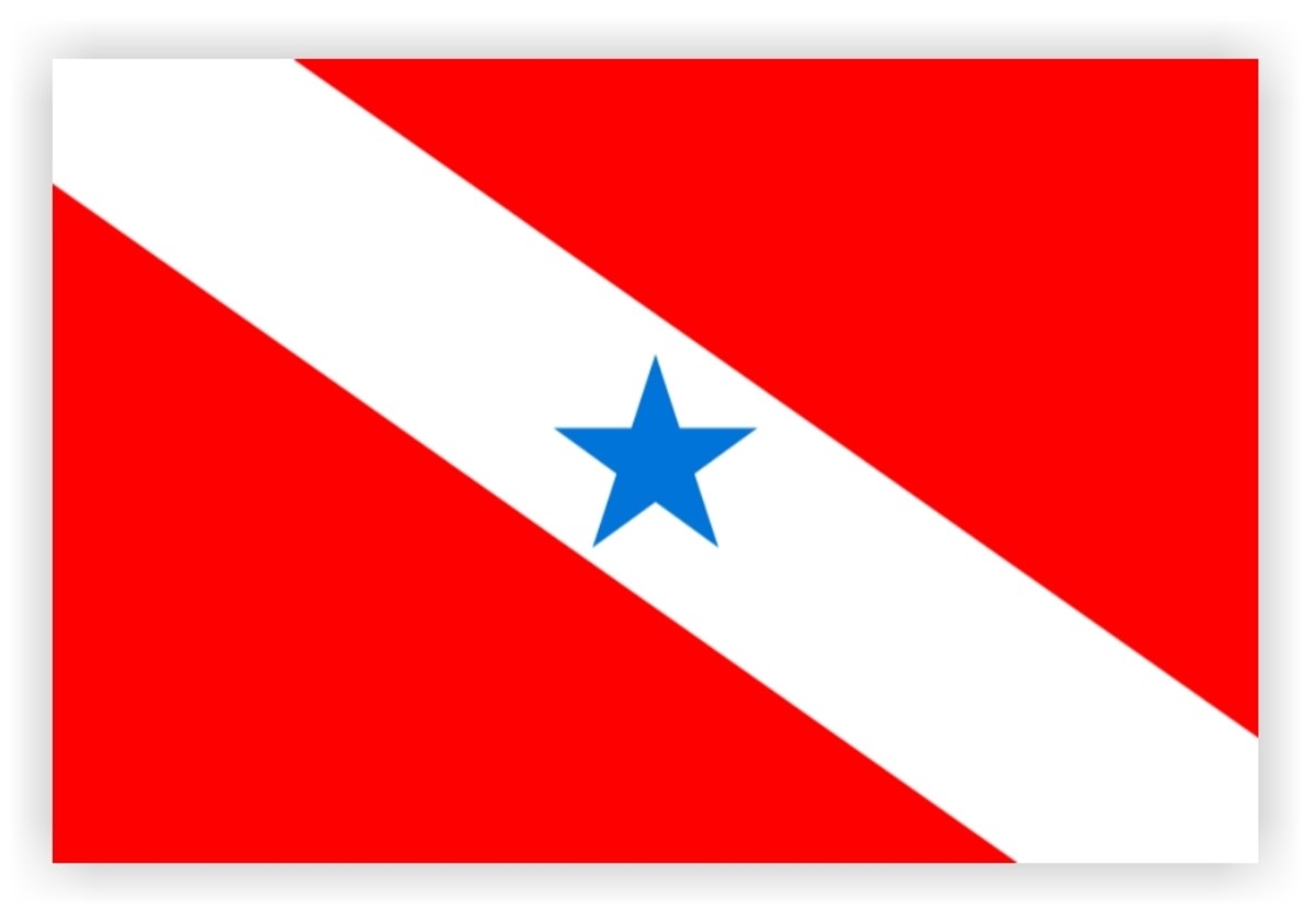 State Flag of Pará, a Brazilian State