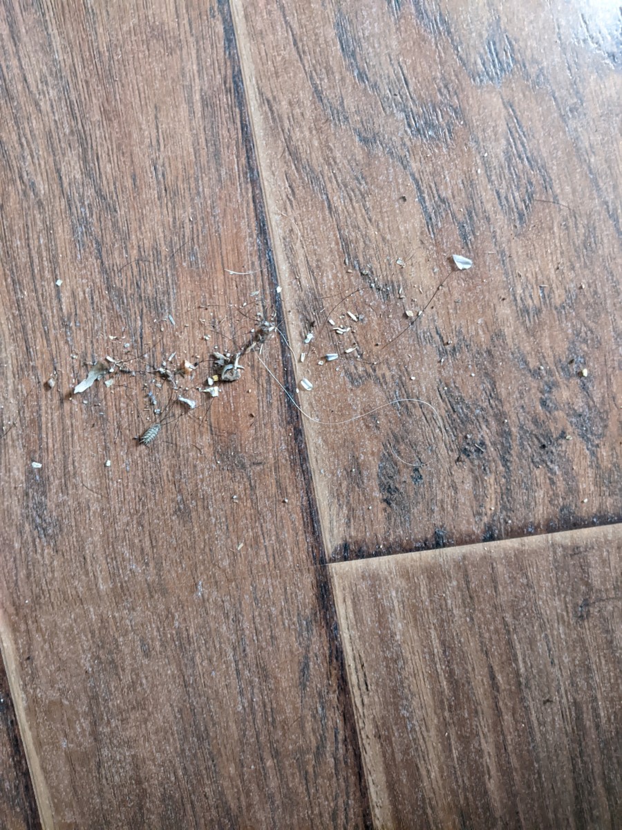 Zippi Broom Using Technology to Beat my Dirt HubPages