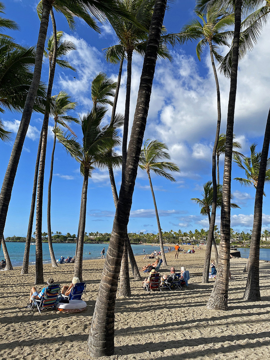 Coconut palms hug the shoreline of A-Bay Beach.