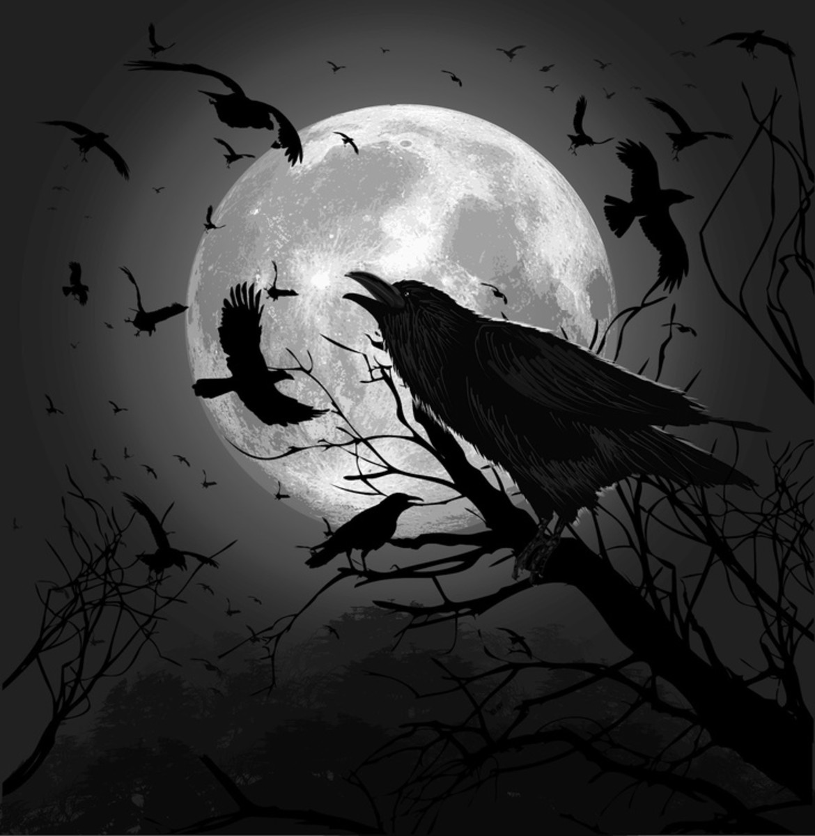 Unimaginable Fearful Crows (Raven) Evil Side