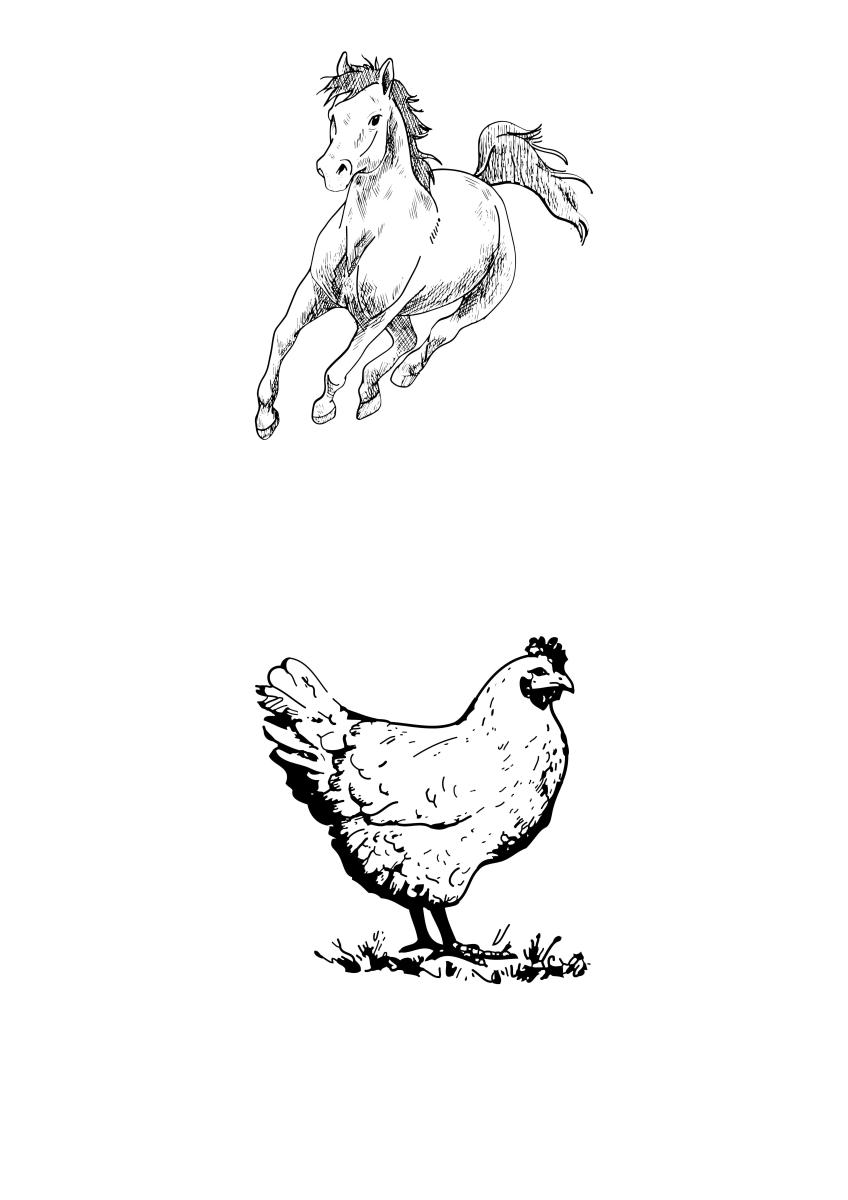 the-most-powerful-horse-breeds-in-the-world-and-rooster-crowing-compilation-plus-rooster-crowing-sounds-effect