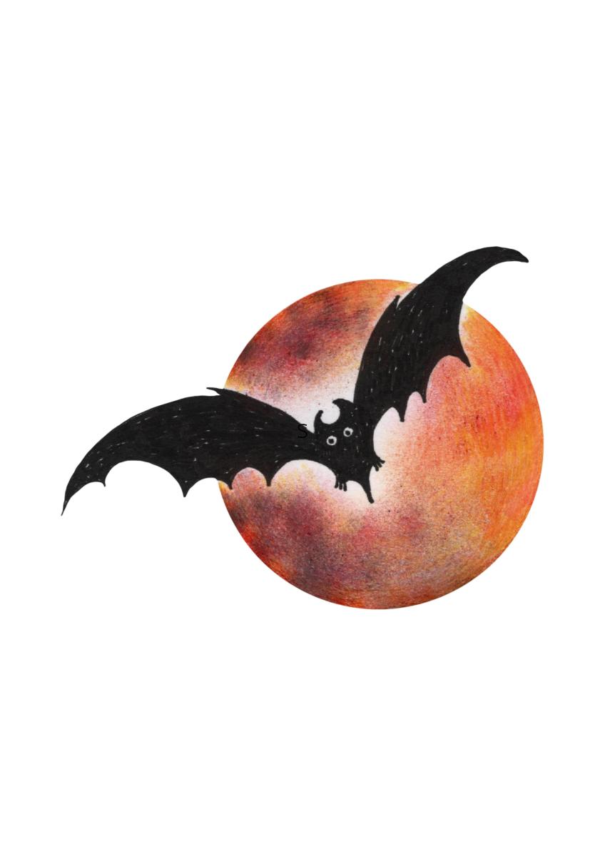 how-vampire-bats-suck-blood-for-30-minutes-unnoticed-and-true-facts-about-the-fruit-bat