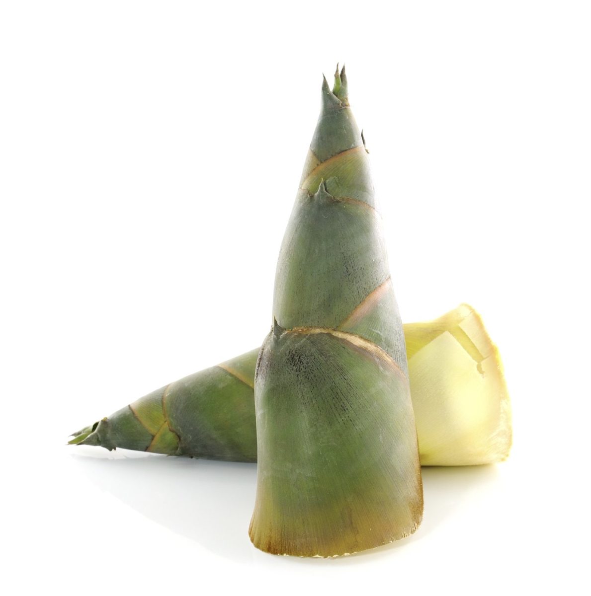 This is what young bamboo shoots look like.