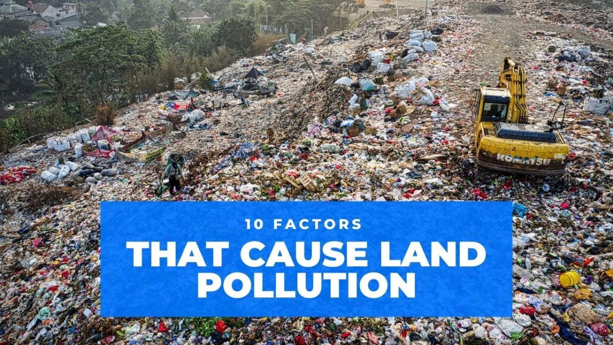 10 Factors That Cause Land Pollution