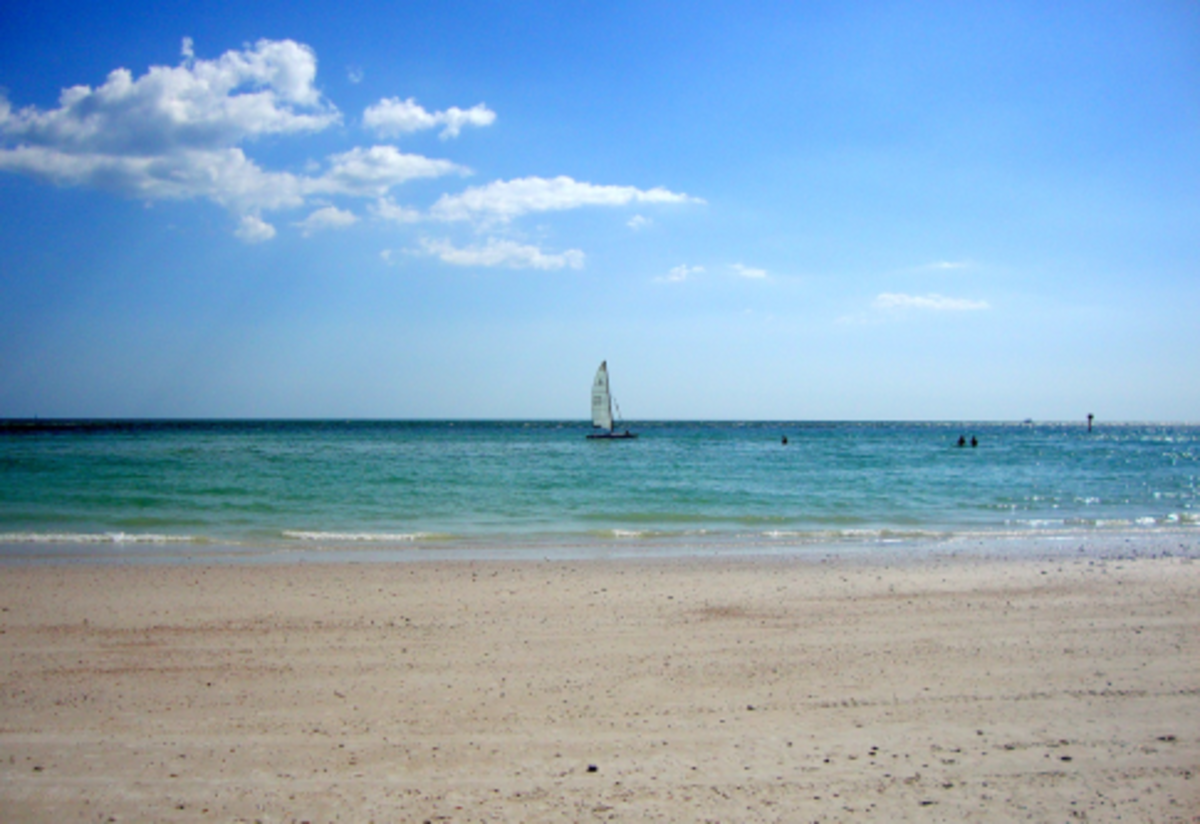 Sailboat on a Warm Florida Day in the Water Near the Park